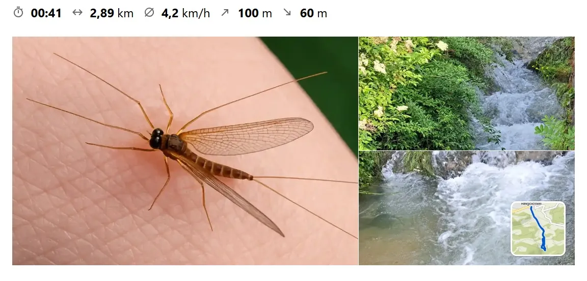 Visiting the Water Fairy
