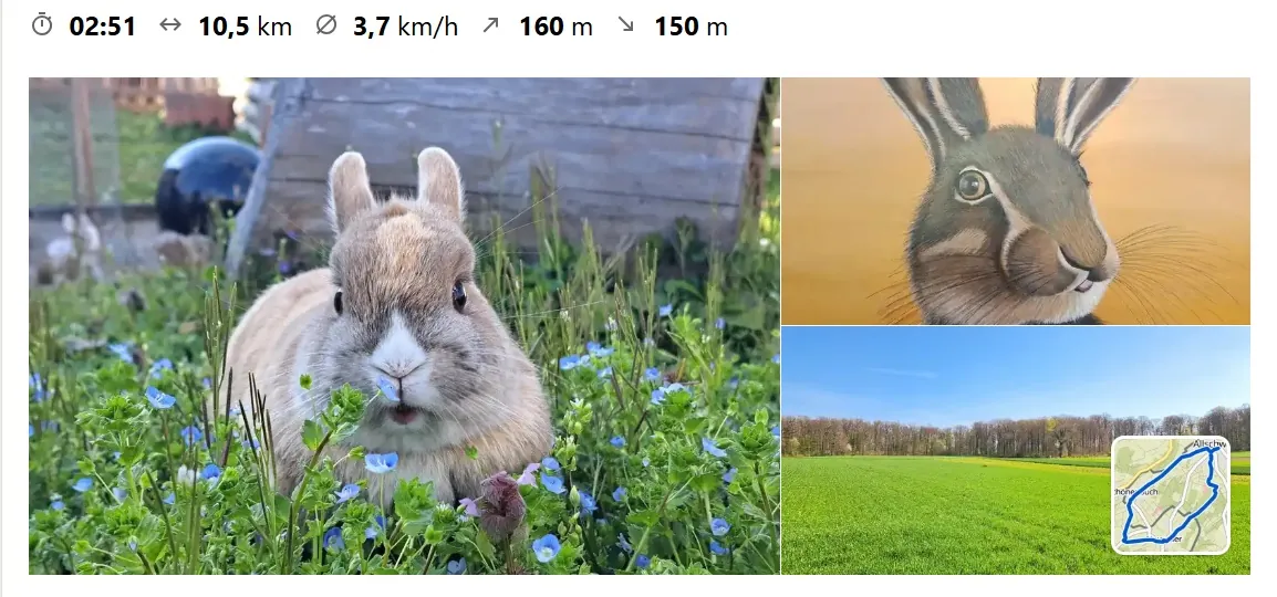 Visiting the Hare